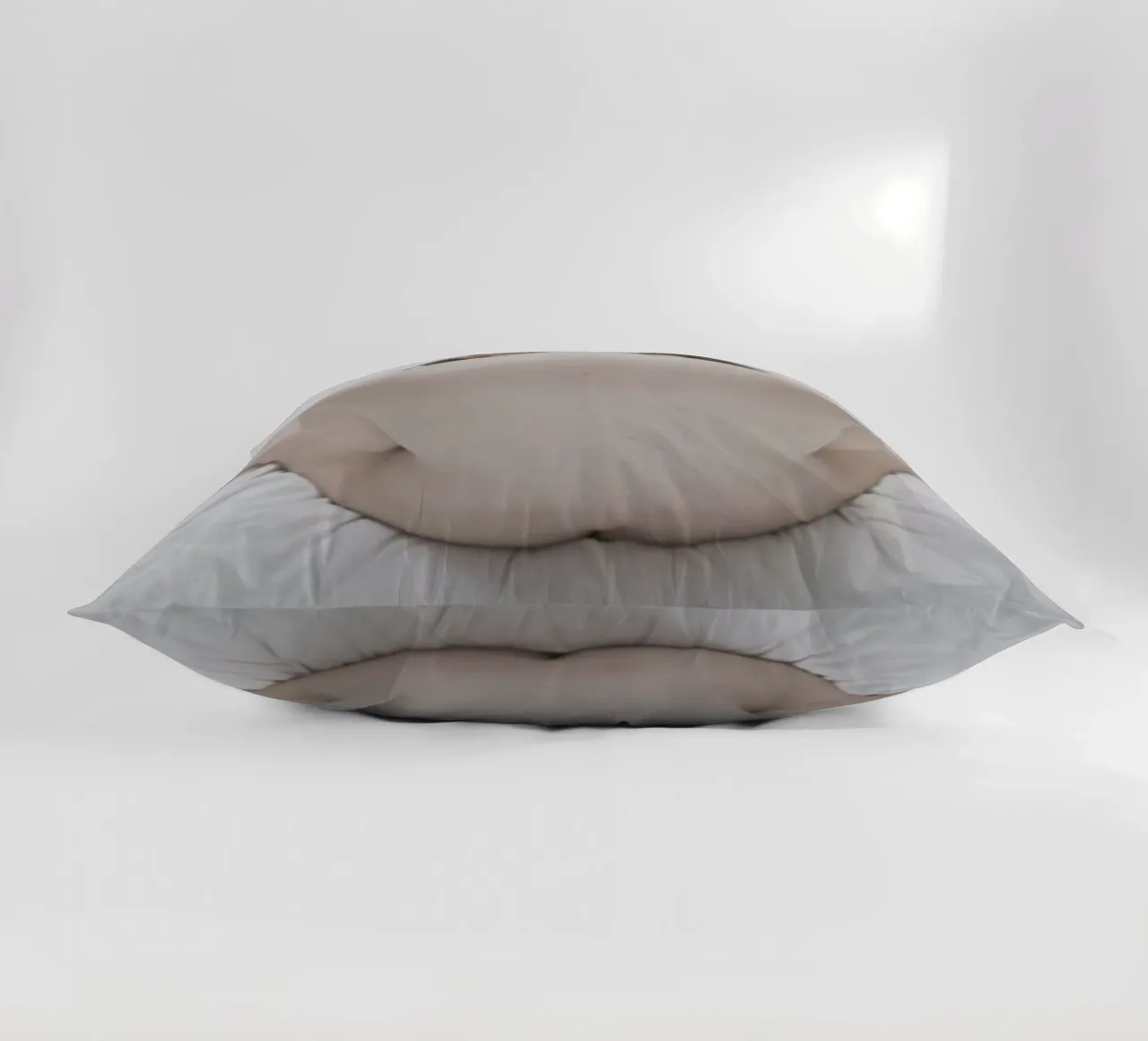 The Silkmoth 1 cuscino da Paul Aidan Perry