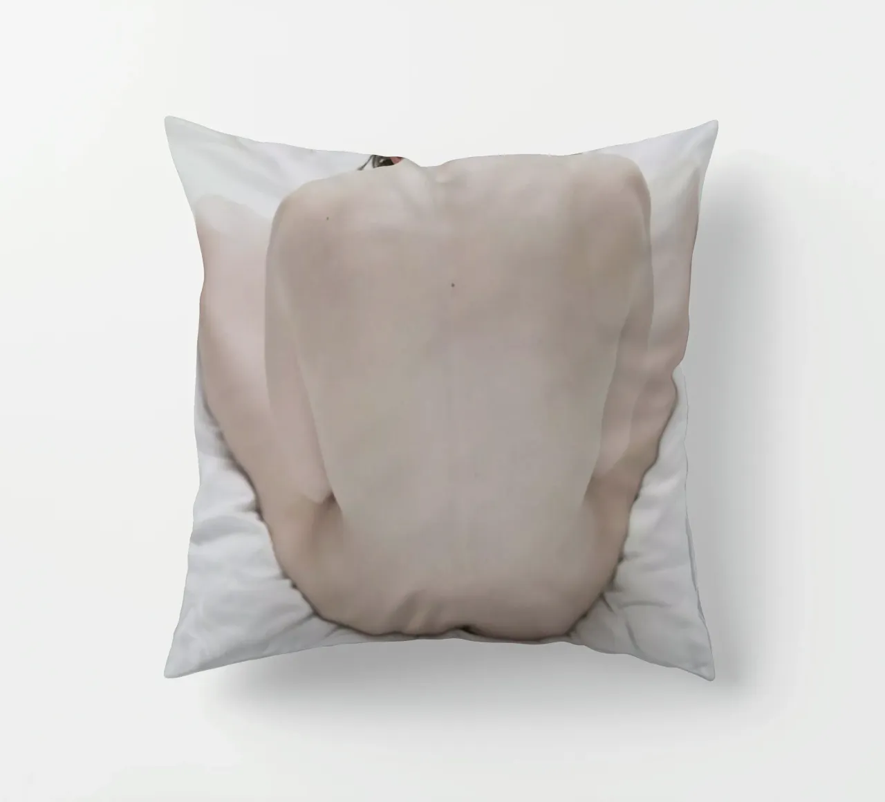 The Silkmoth 1 cuscino da Paul Aidan Perry