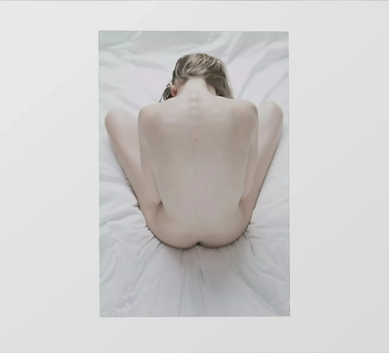 The Silkmoth 1 telo in pvc da Paul Aidan Perry