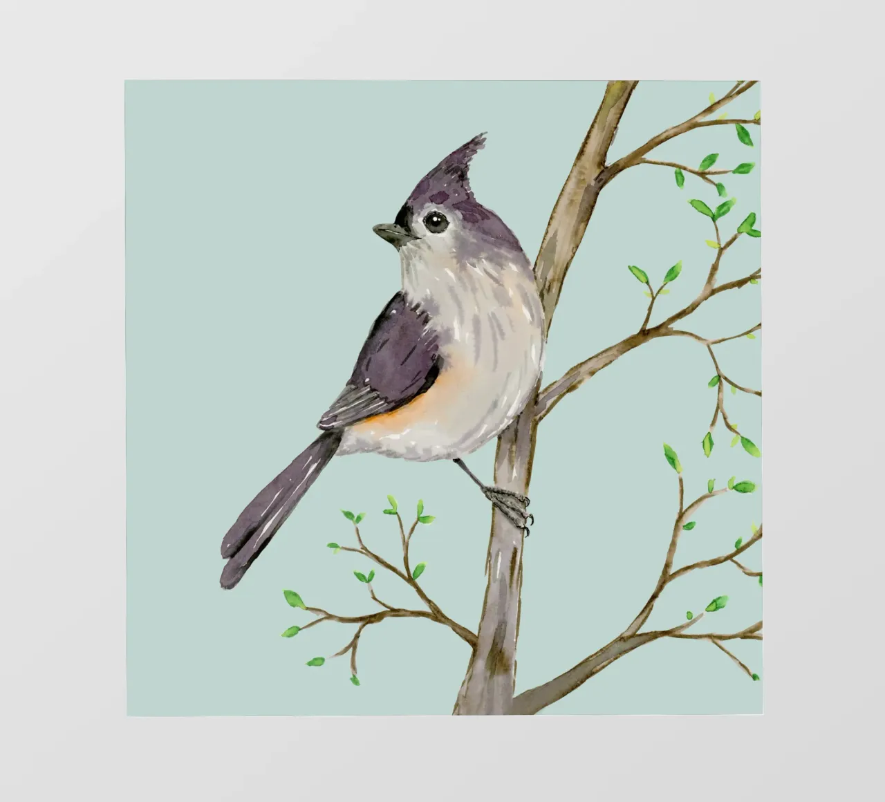 Tufted titmouse watercolor photo wallpaper by BwiseLizzy