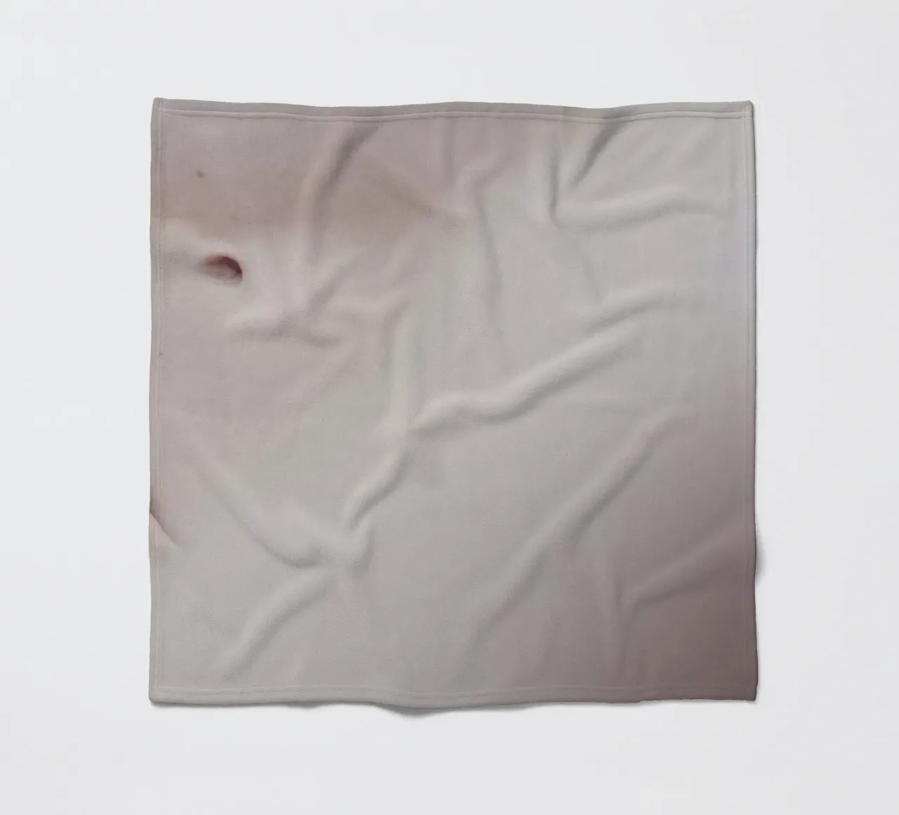 The Silkmoth 2 coperta in pile da Paul Aidan Perry