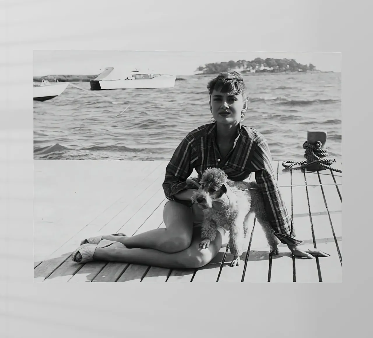 Audrey Hepburn con cane pellicola backlit da Monikaprint