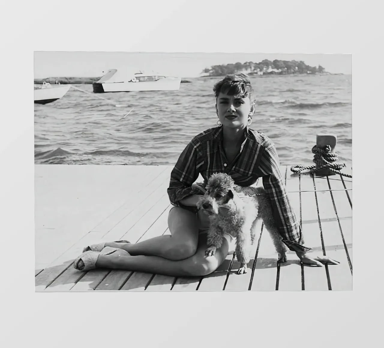 Audrey Hepburn con cane pellicola backlit da Monikaprint