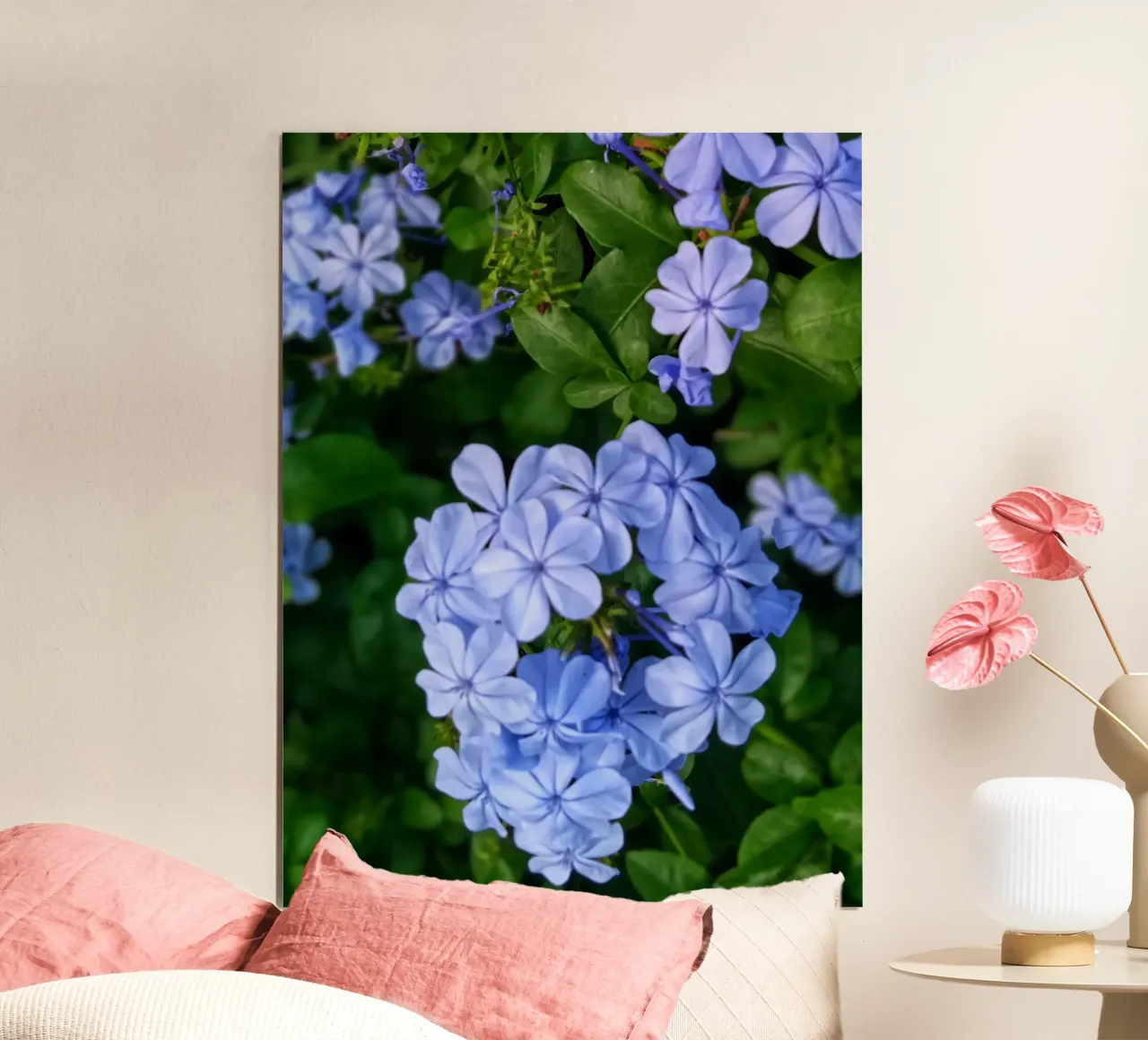 Blue plumbago flowers hahnemühle by Skyeaglephotography