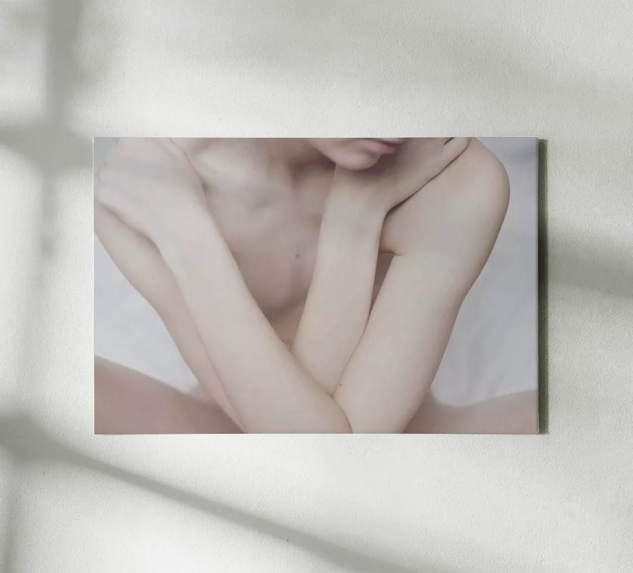 The Silkmoth 6 tela con Cornice a cassetta da Paul Aidan Perry