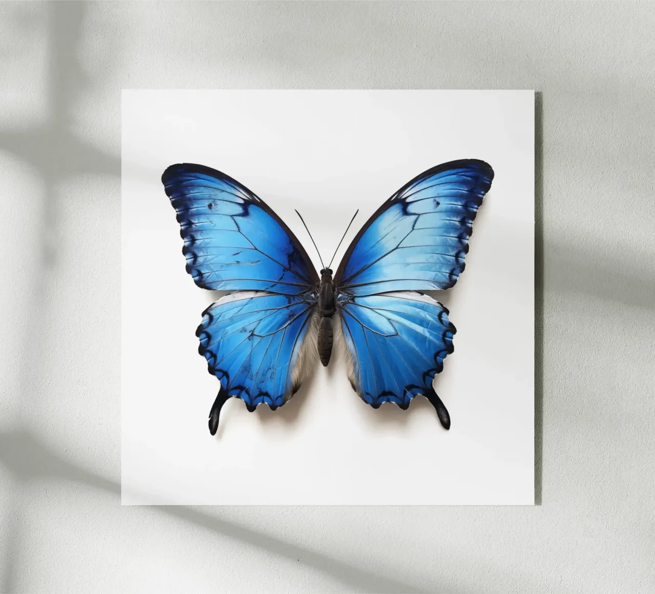 Blue butterfly Acryl-Glas von My Tiny Home