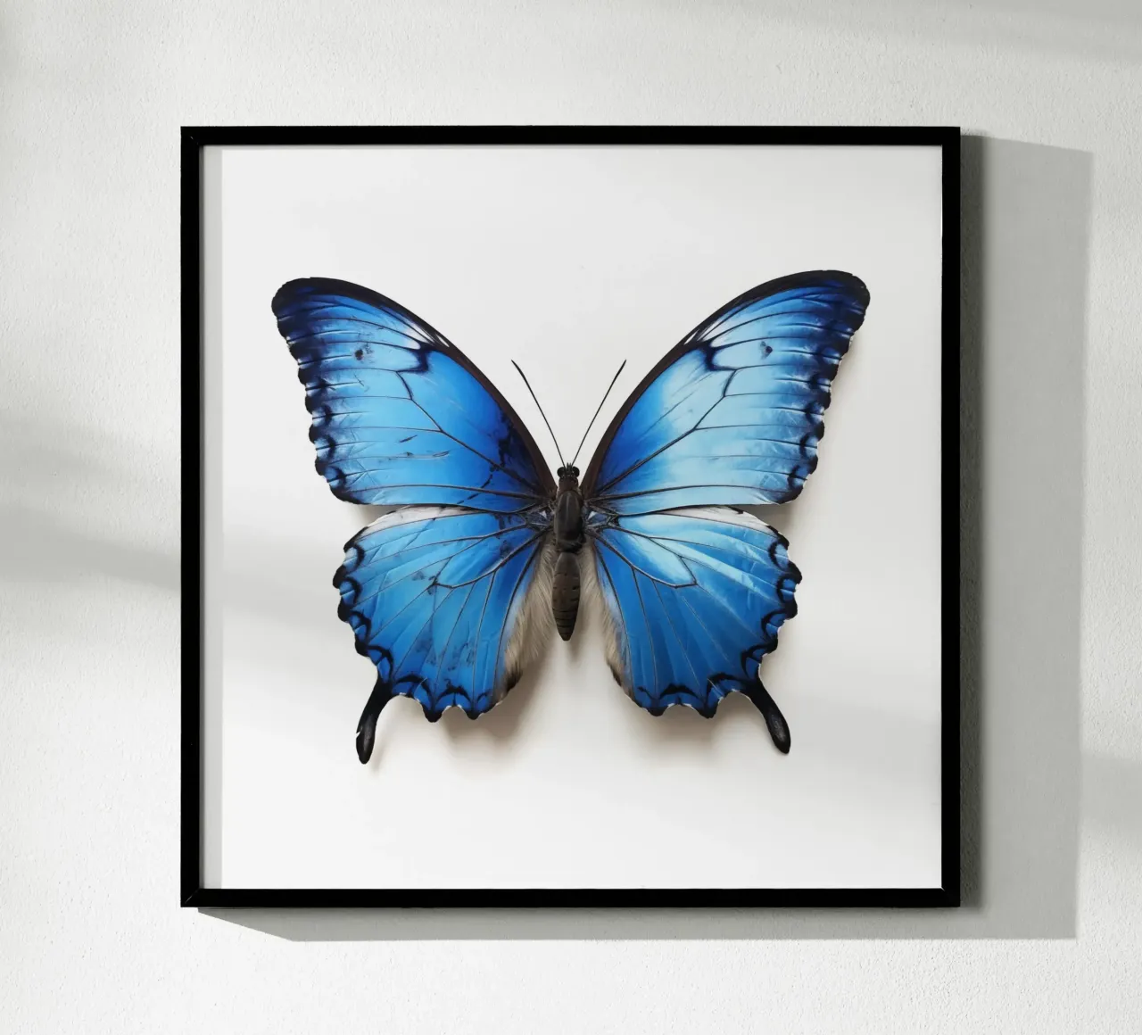 Farfalla blu poster da My Tiny Home