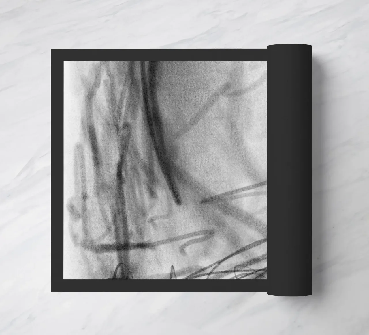 Hazy zerbino da Studio B