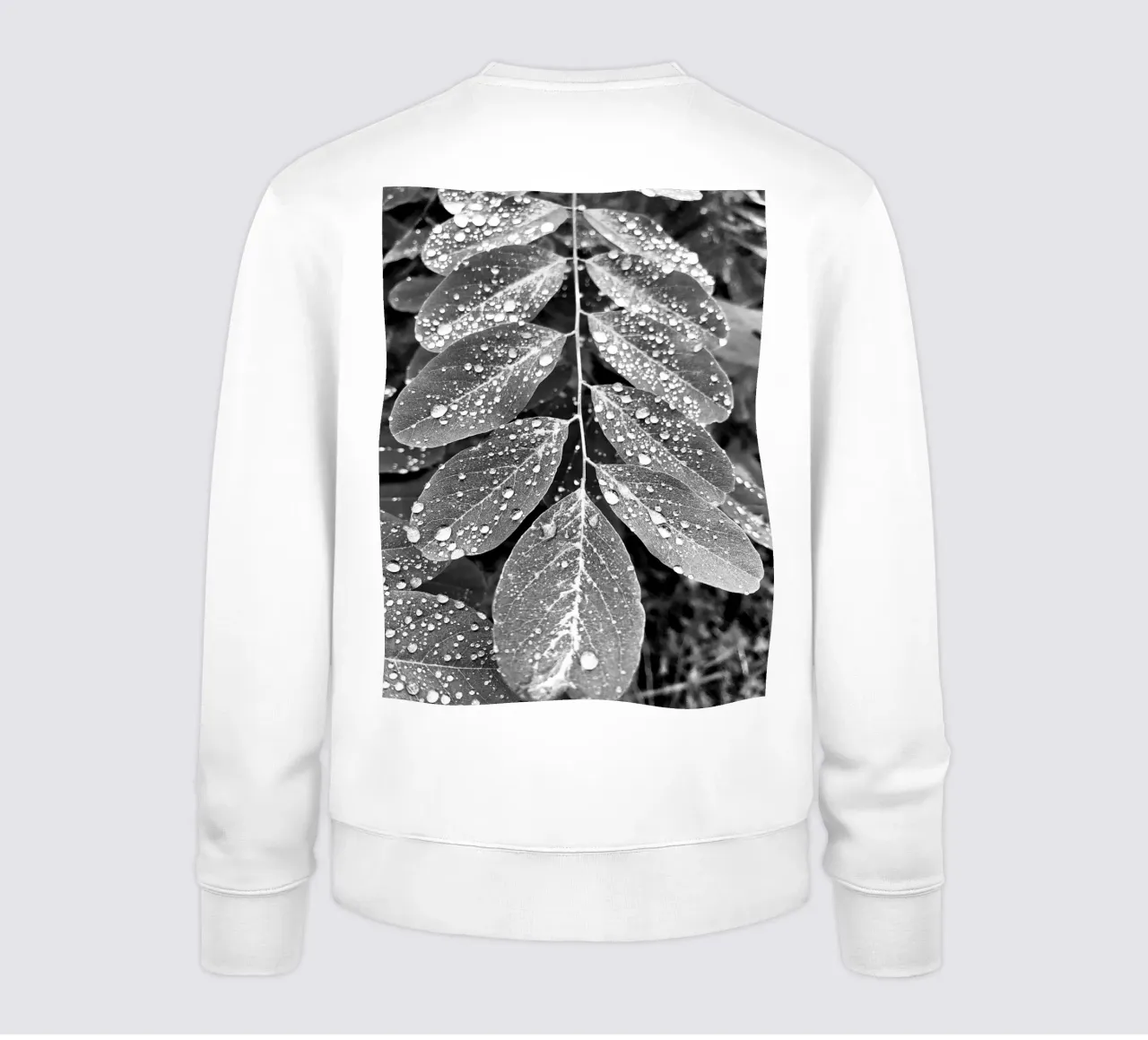 Gocce sulla pianta felpa da Dorothea Baur