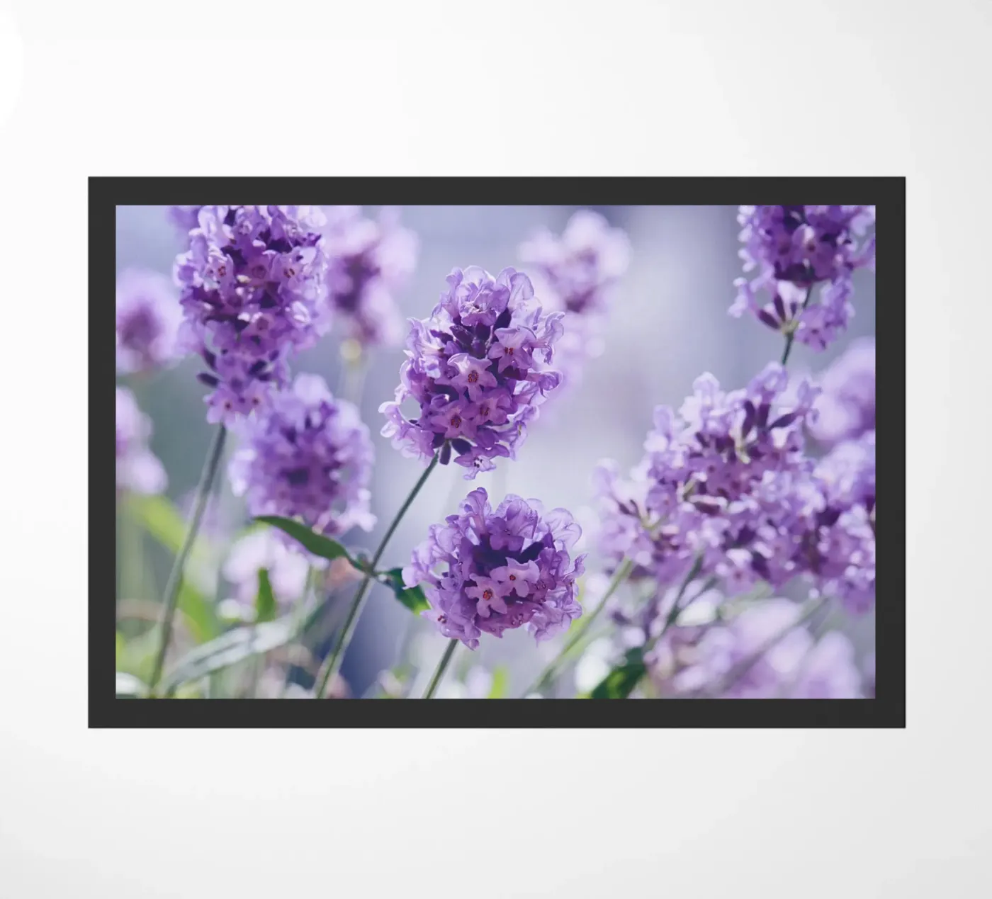 Lavendel Fußmatte von Atteloi