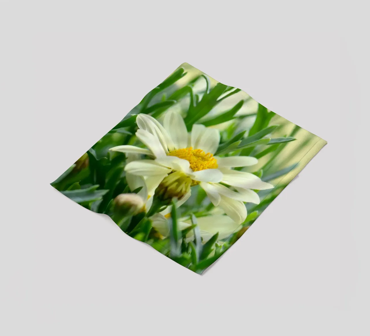 Margeriten Fleecedecke von Atteloi