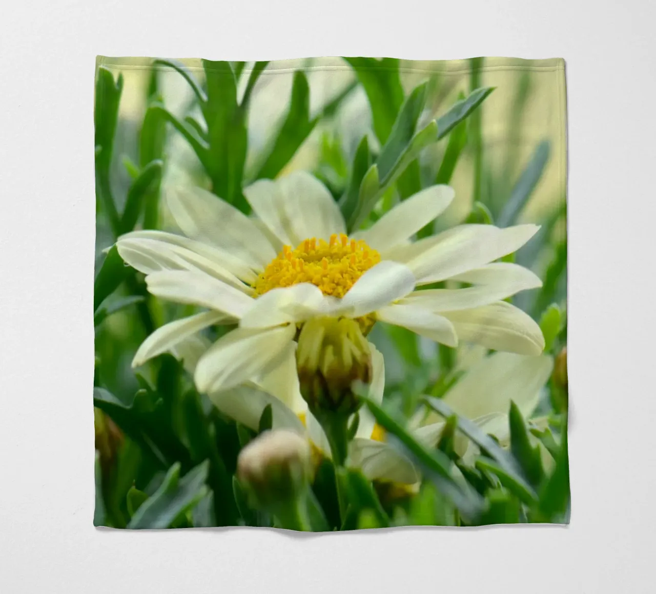 Margeriten Fleecedecke von Atteloi