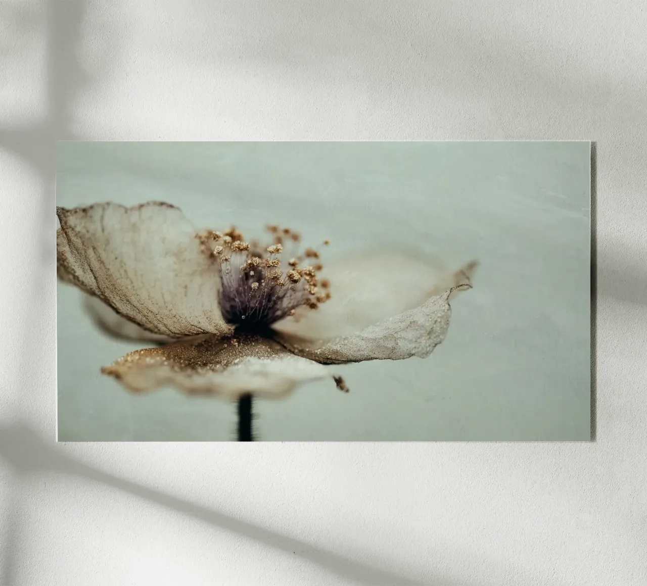 Bloom Memory No 02 plexiglass da treechild