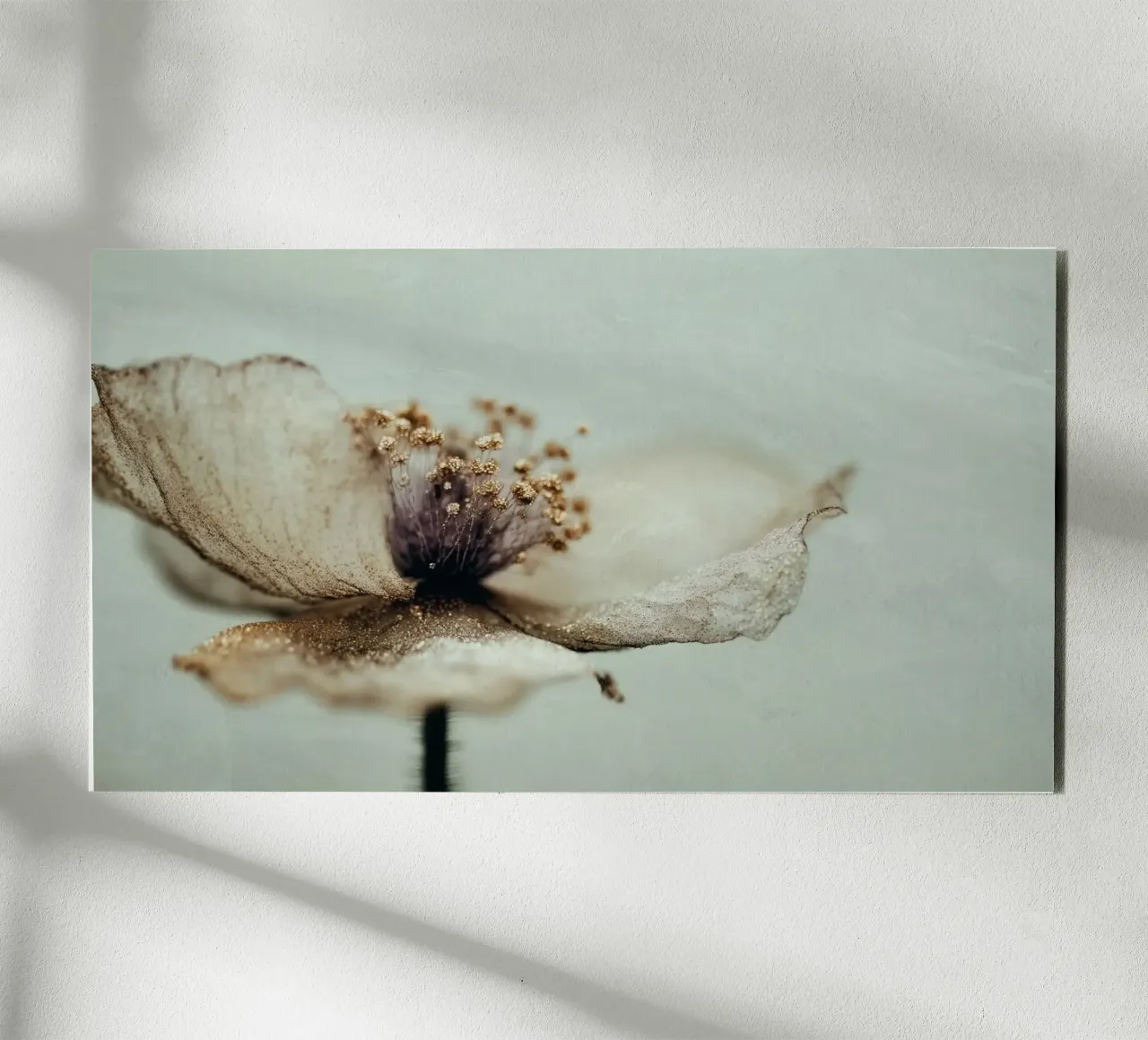 Bloom Memory No 02 pannello forex da treechild