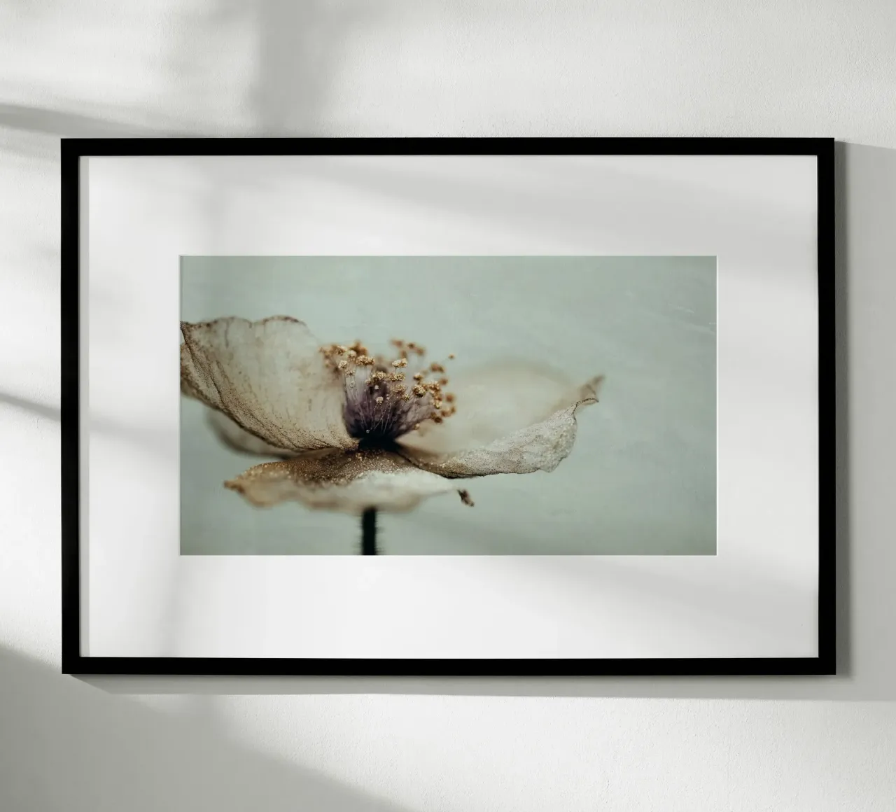 Bloom Memory No 02 carta hahnemühle da treechild