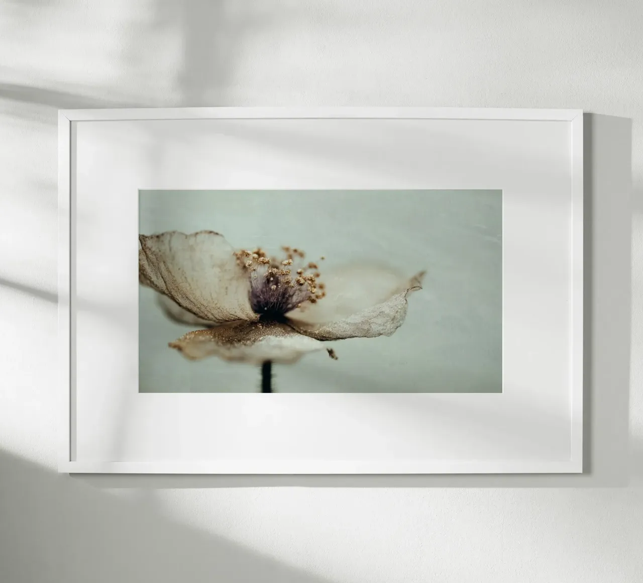 Bloom Memory No 02 carta hahnemühle da treechild