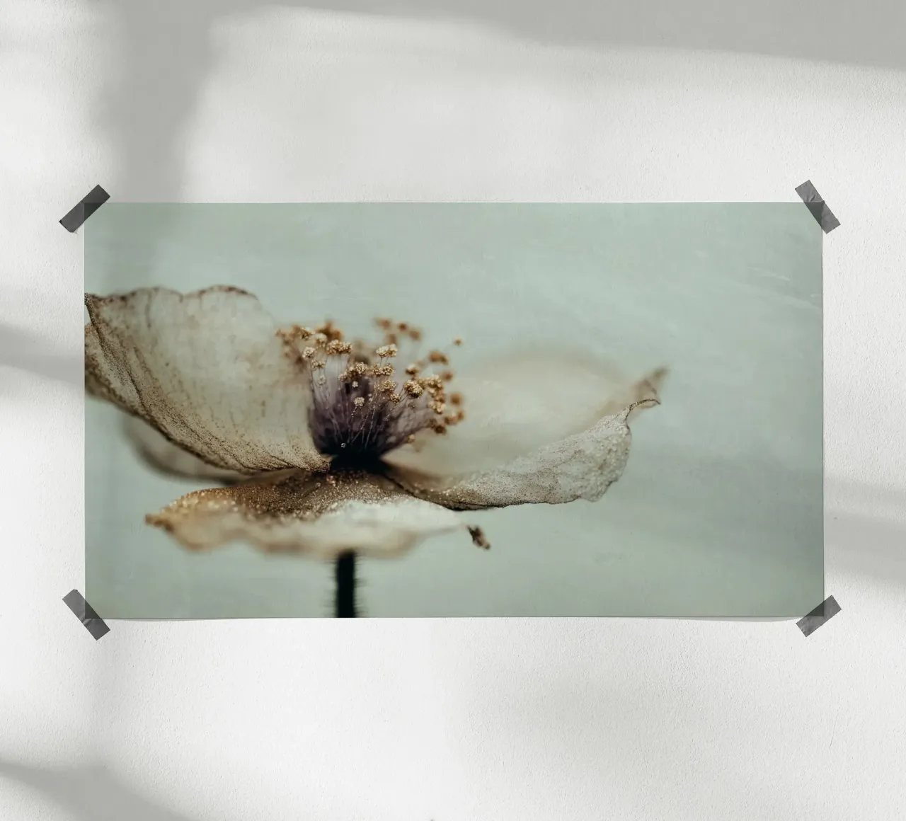 Bloom Memory No 02 carta hahnemühle da treechild