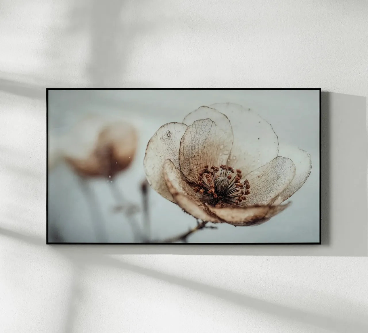 Bloom Memory No 05 Acryl-Glas von treechild