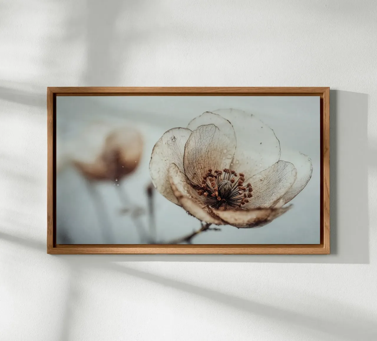 Bloom Memory No 05 pannello forex da treechild