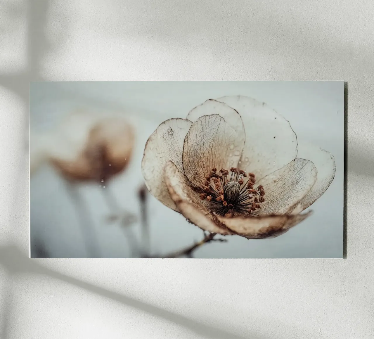 Bloom Memory No 05 pannello forex da treechild