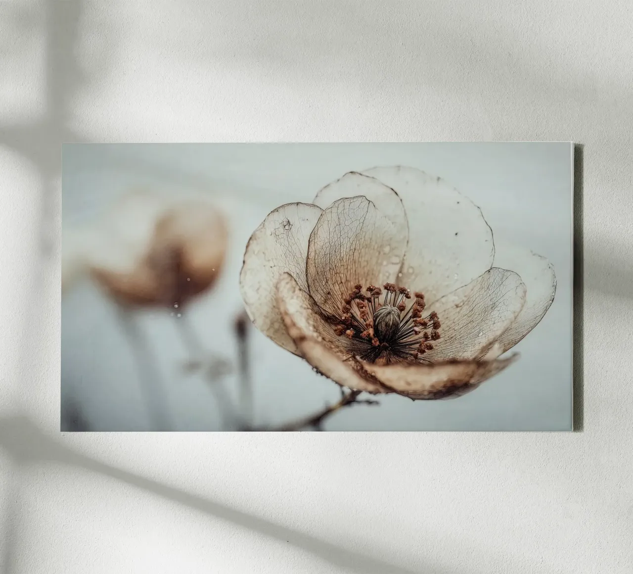 Bloom Memory No 05 tela da treechild