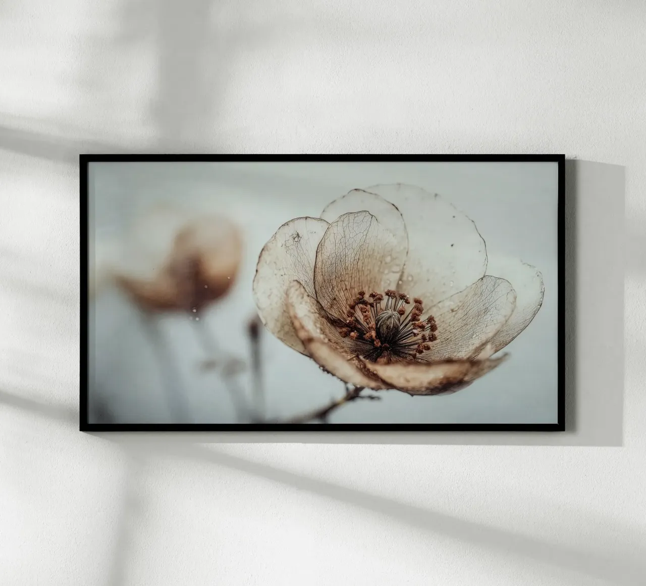 Bloom Memory No 05 poster da treechild