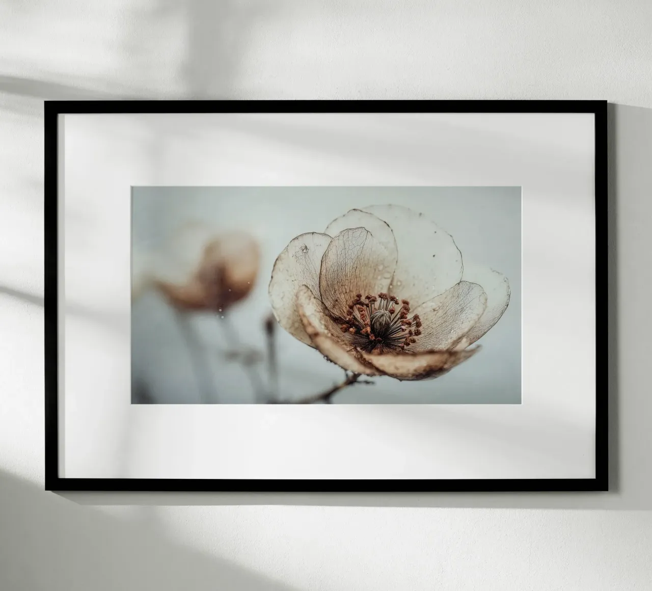 Bloom Memory No 05 poster da treechild