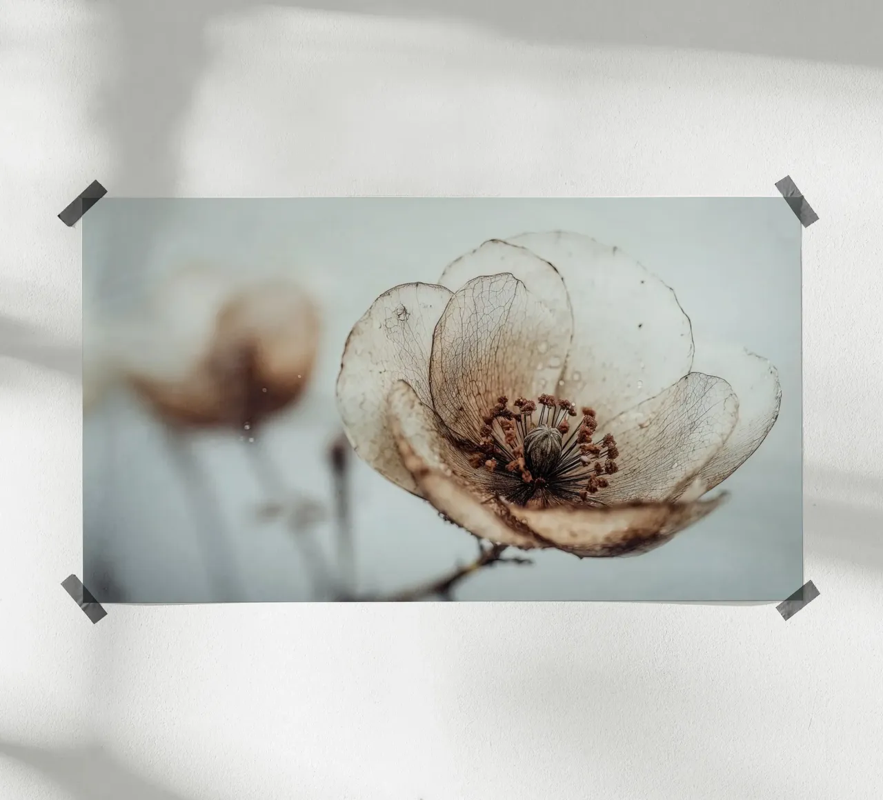 Bloom Memory No 05 poster da treechild