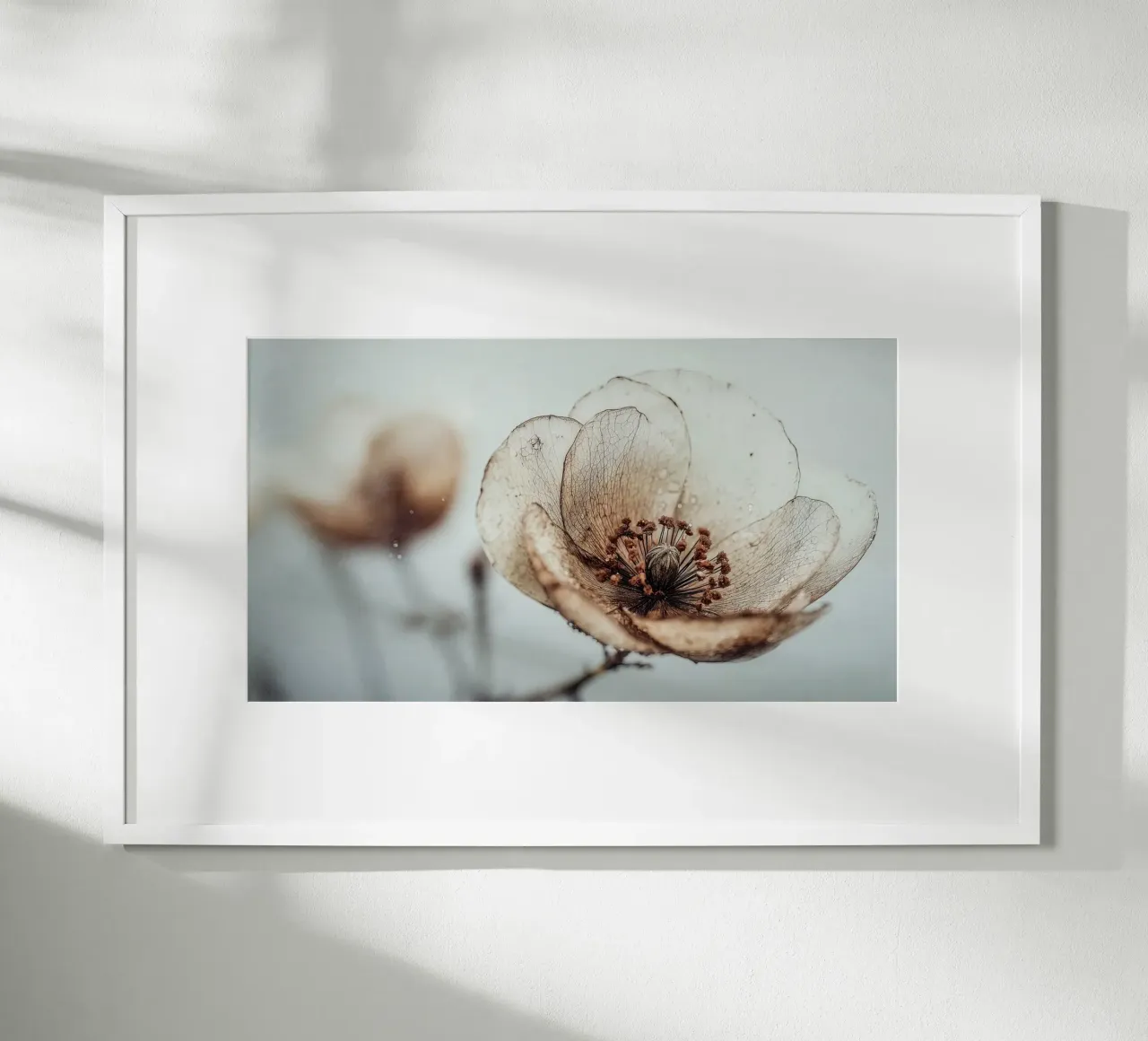 Bloom Memory No 05 poster da treechild