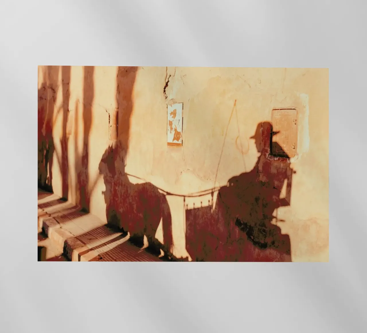Marrakesh Paradise 3 pellicola backlit da Paul Aidan Perry
