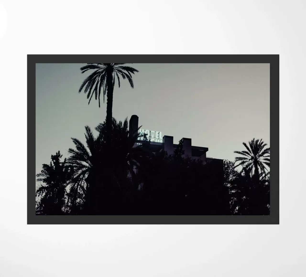 Marrakesh Paradise 16 zerbino da Paul Aidan Perry