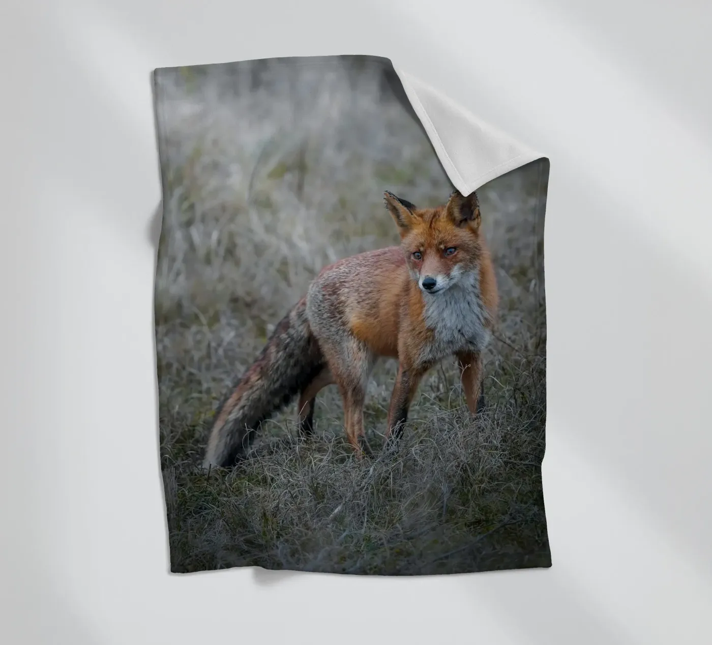 Rotfuchs Fleecedecke von Tom's Wildlife
