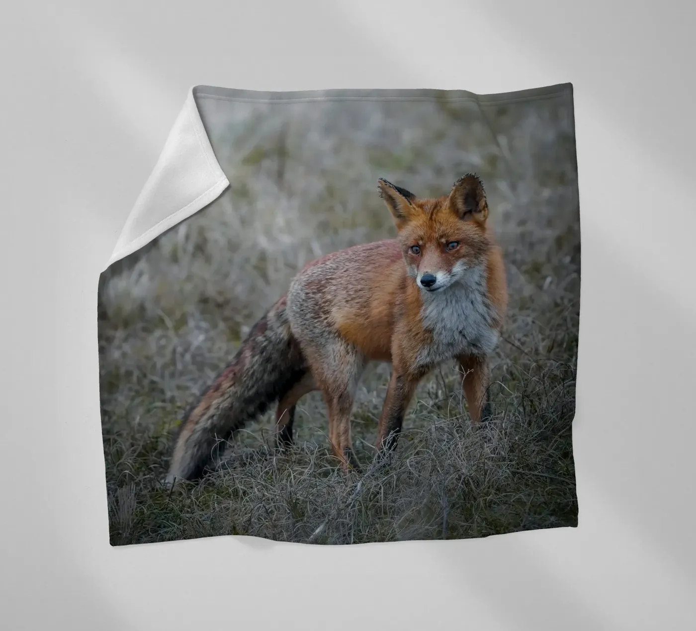 Rotfuchs Fleecedecke von Tom's Wildlife