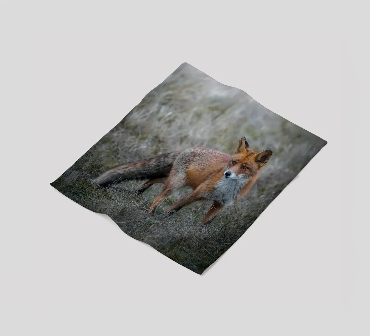 Rotfuchs Fleecedecke von Tom's Wildlife