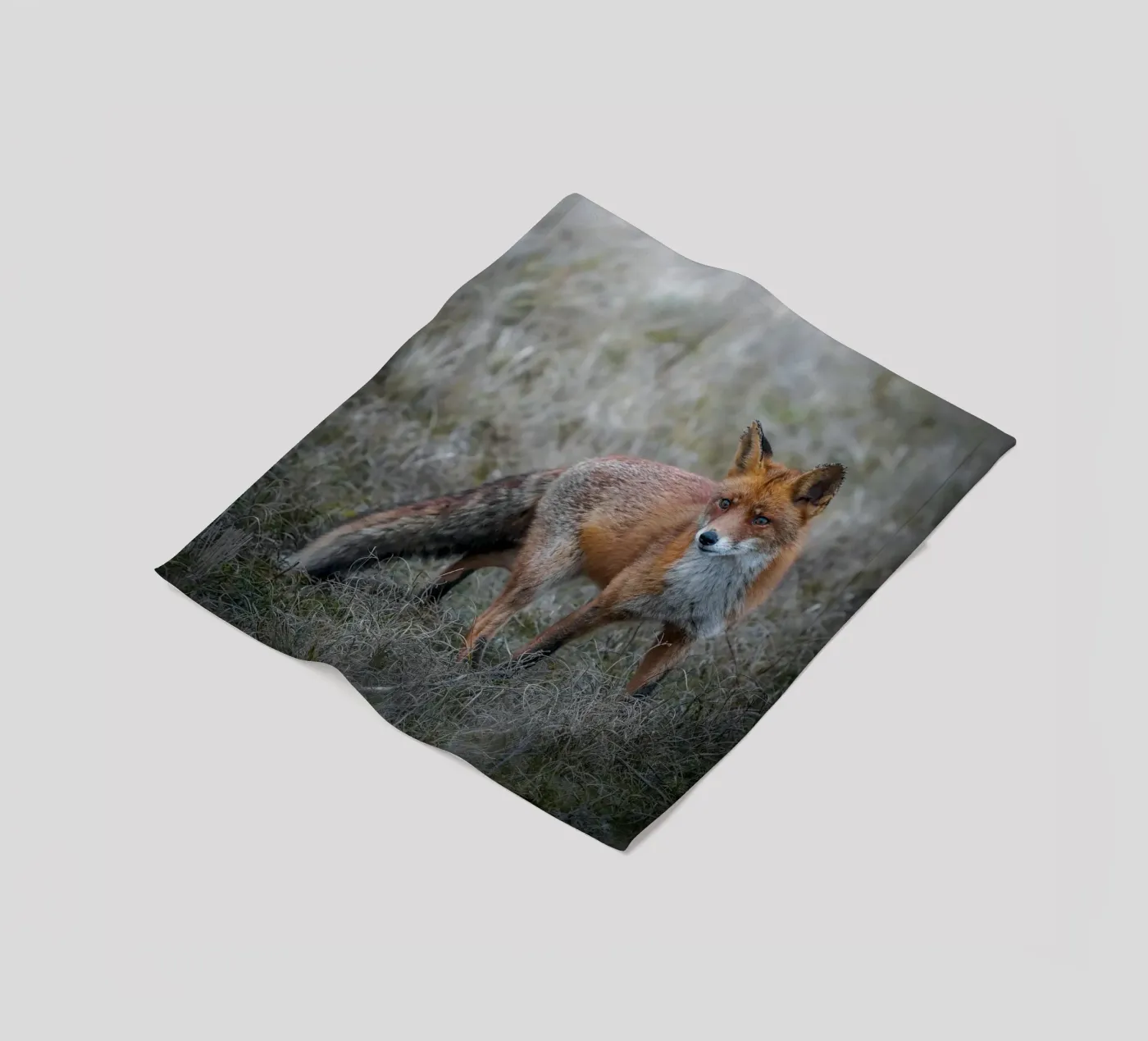 Rotfuchs Fleecedecke von Tom's Wildlife
