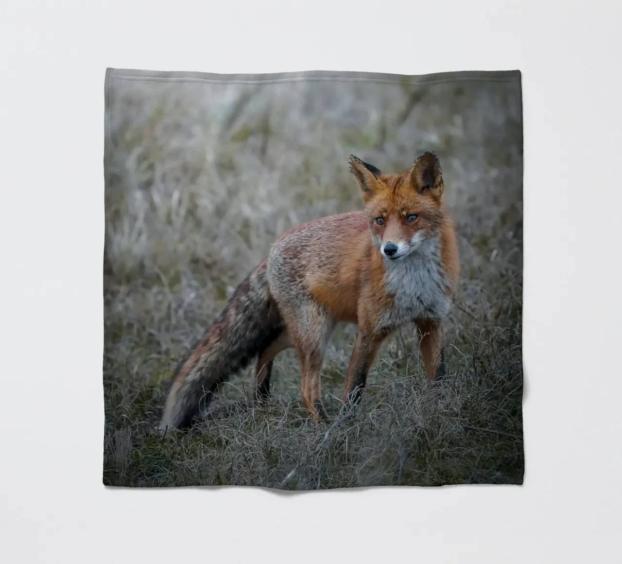 Rotfuchs Fleecedecke von Tom's Wildlife