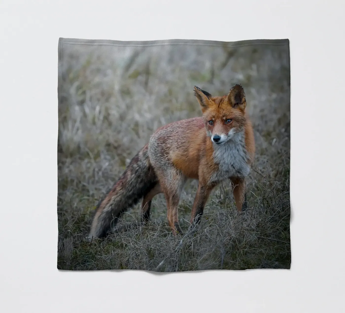 Rotfuchs Fleecedecke von Tom's Wildlife