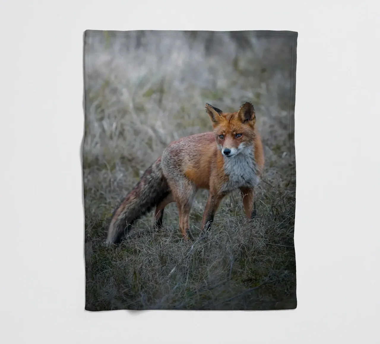 Rotfuchs Fleecedecke von Tom's Wildlife