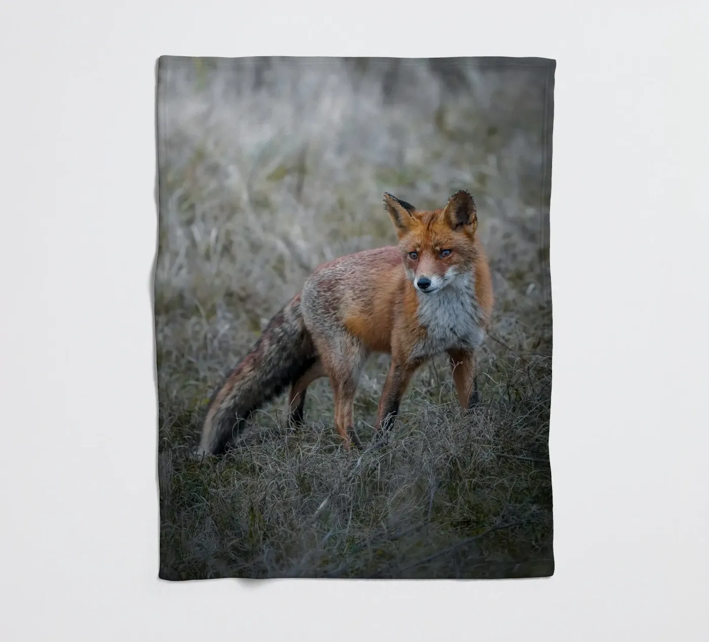 Rotfuchs Fleecedecke von Tom's Wildlife