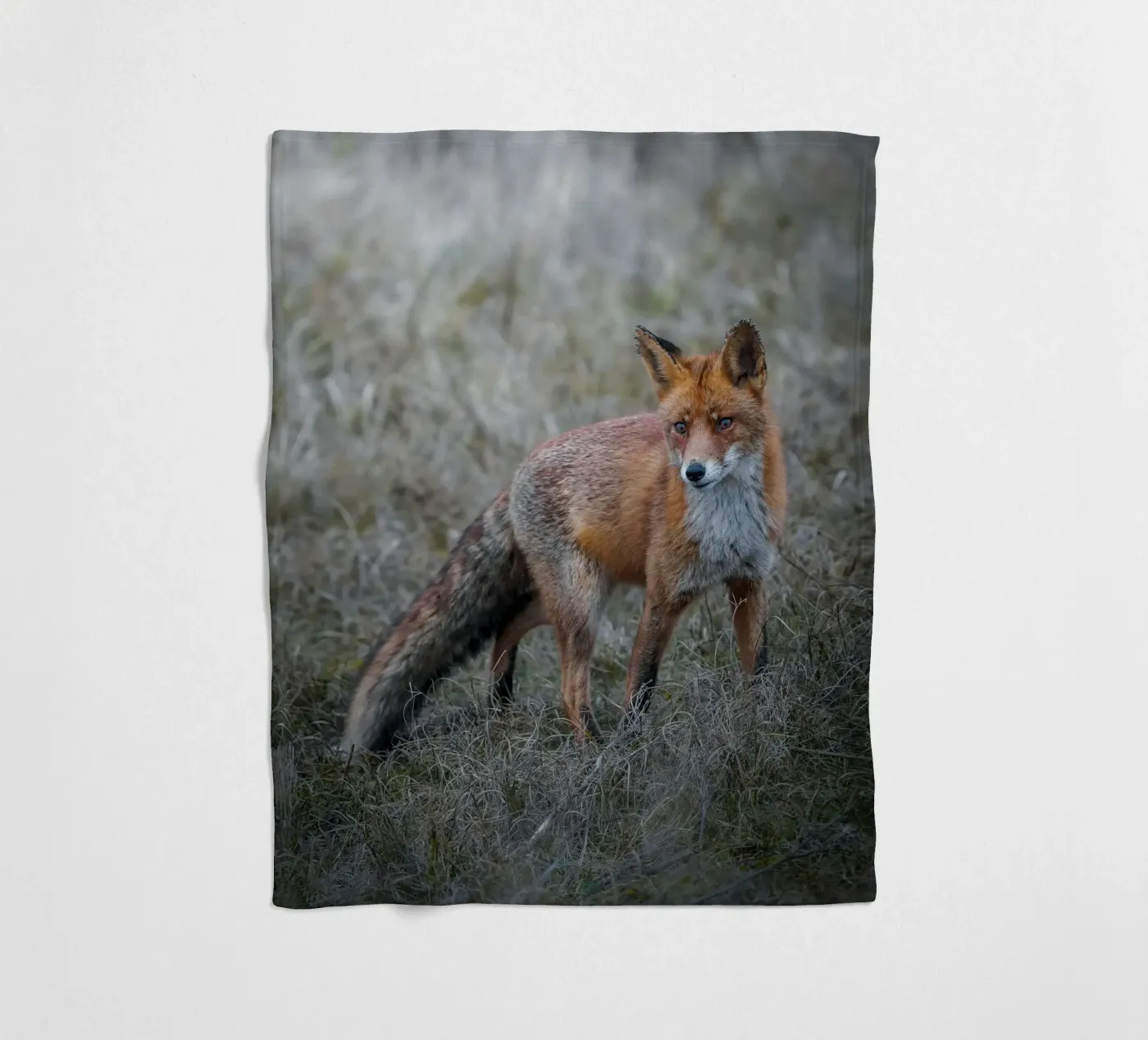 Rotfuchs Fleecedecke von Tom's Wildlife