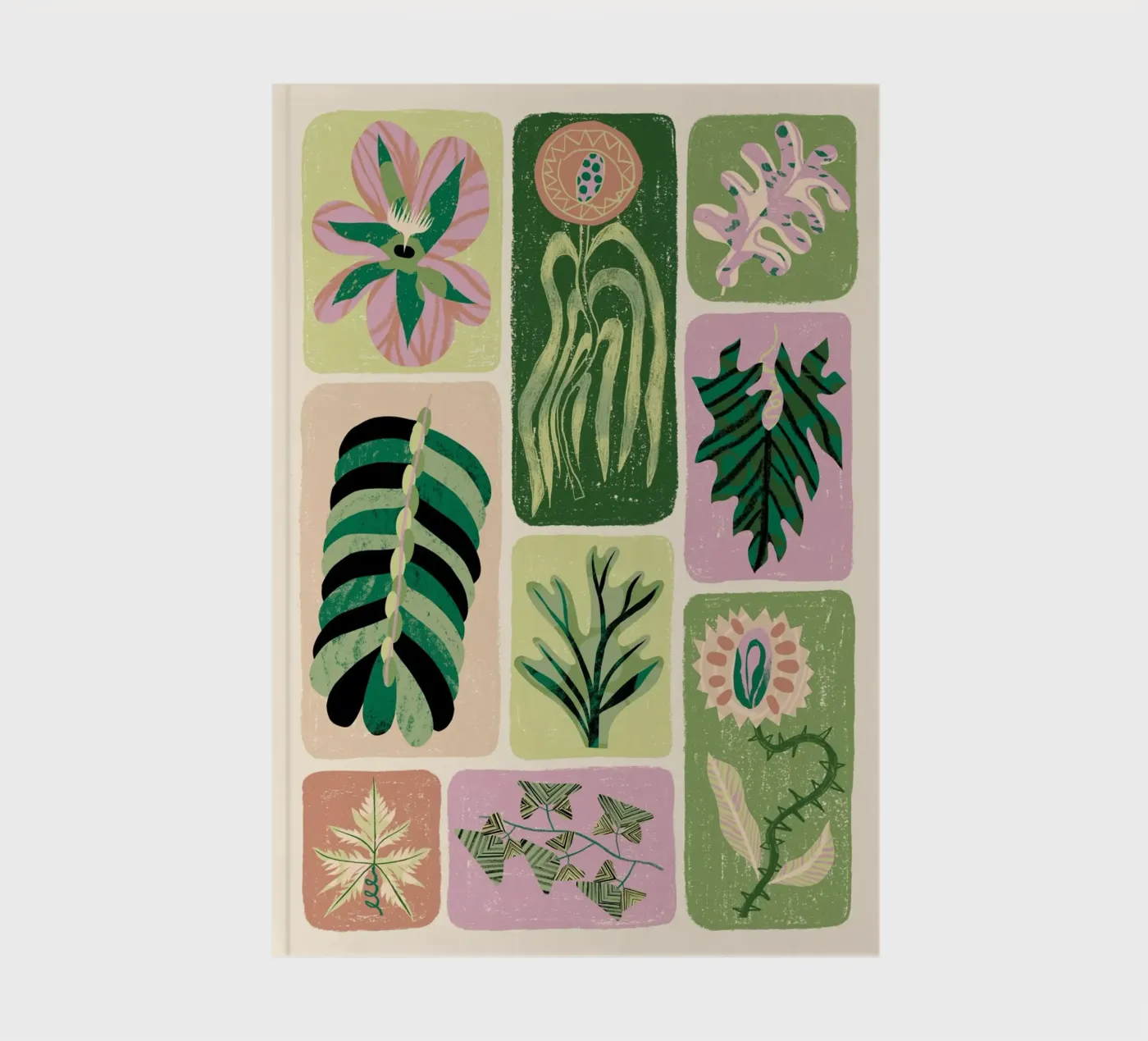 Modern Botany notebook by Tom Abbiss Smith