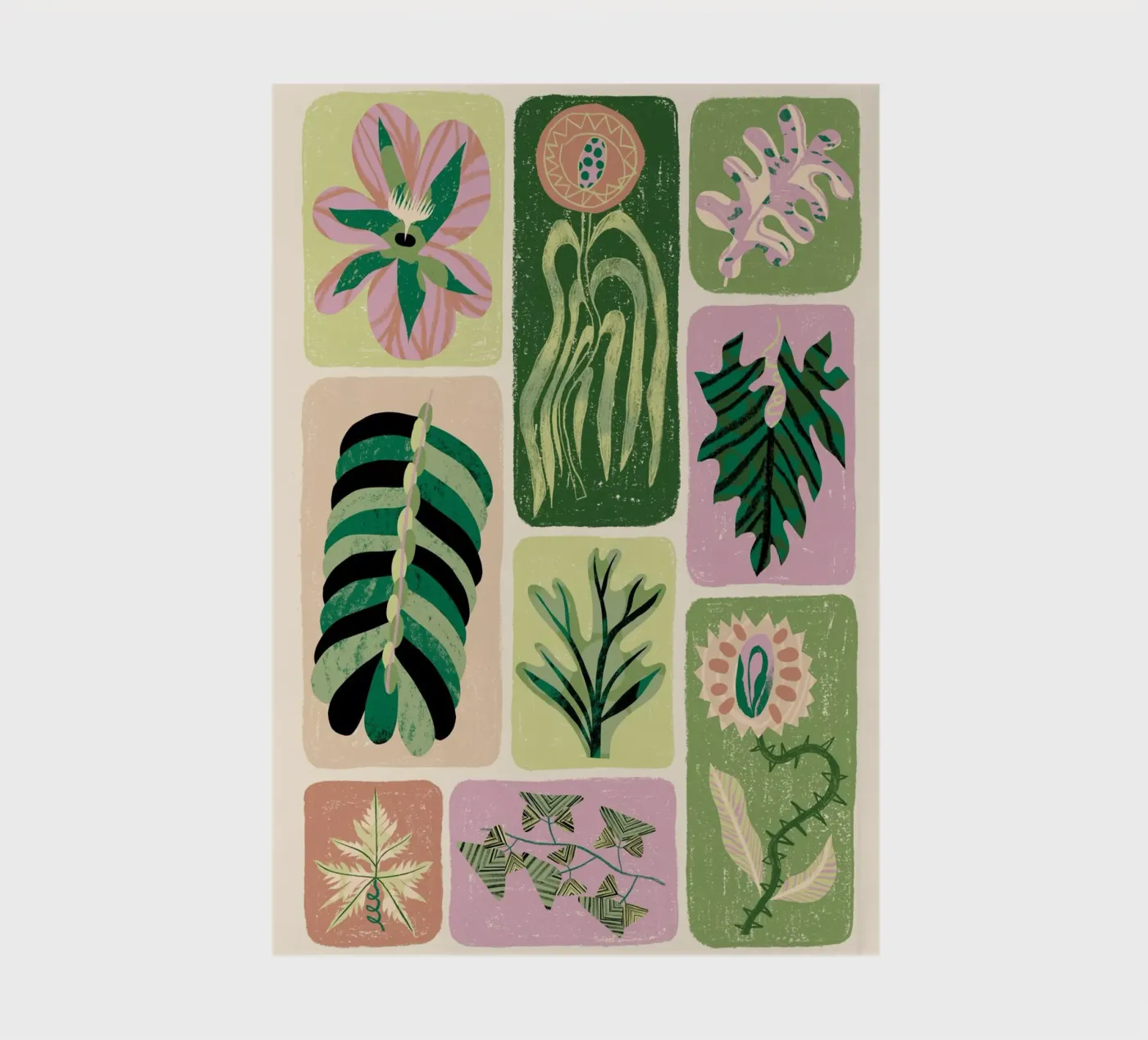 Modern Botany notebook by Tom Abbiss Smith
