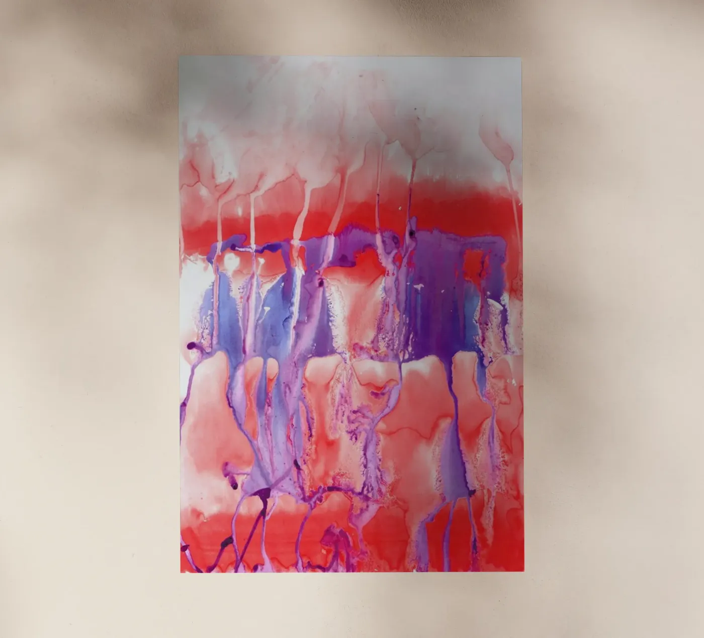 Colossal Dynamite pellicola backlit da Amy Sia