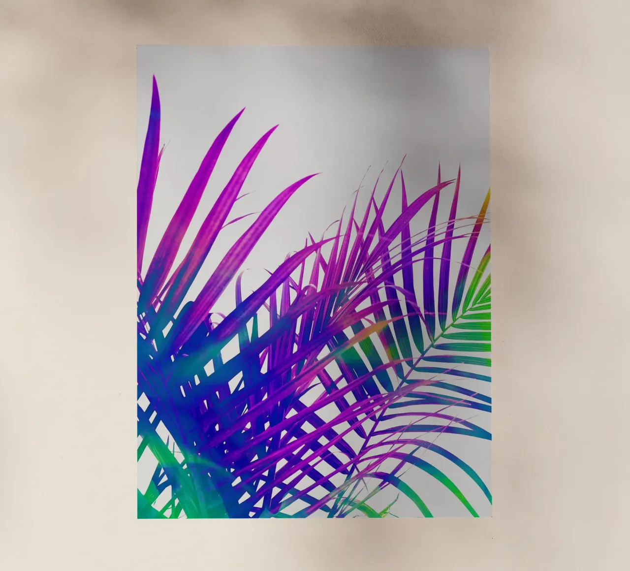 Palma colorata pellicola backlit da 83oranges