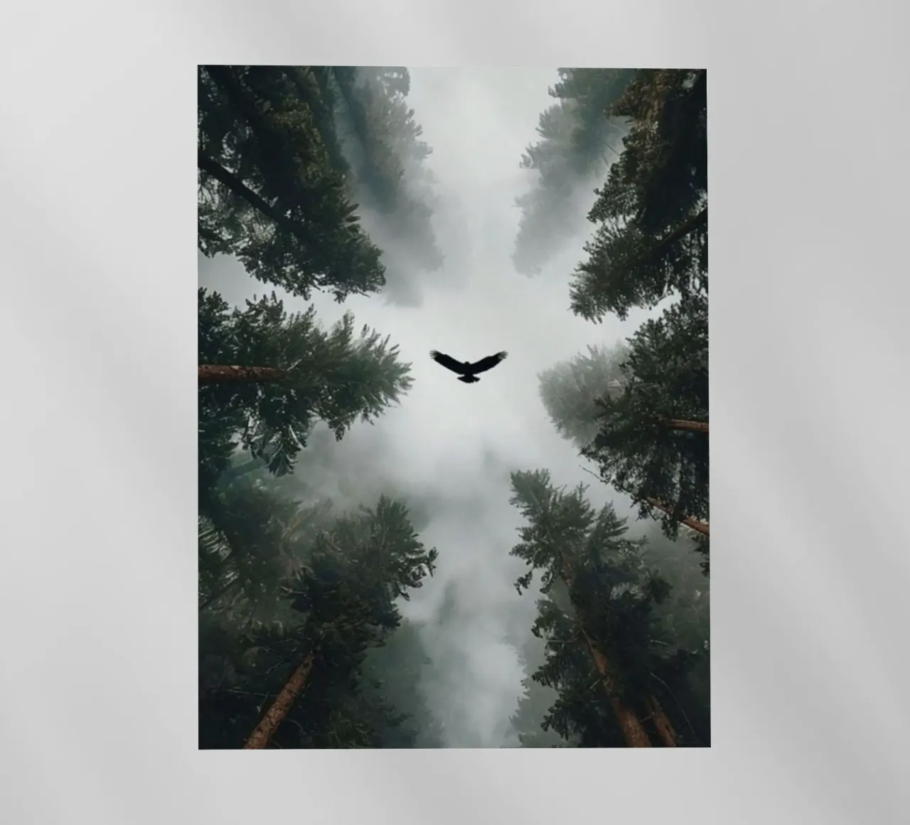 bird on the forest pellicola backlit da scoten