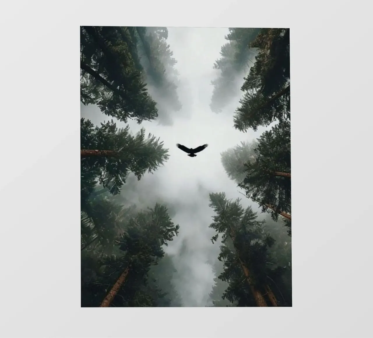 bird on the forest pellicola backlit da scoten