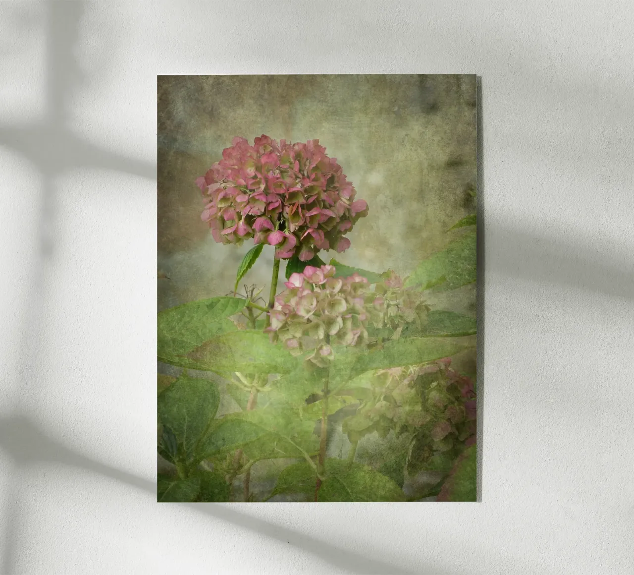 Hortensia plexiglass da ArtSkratches