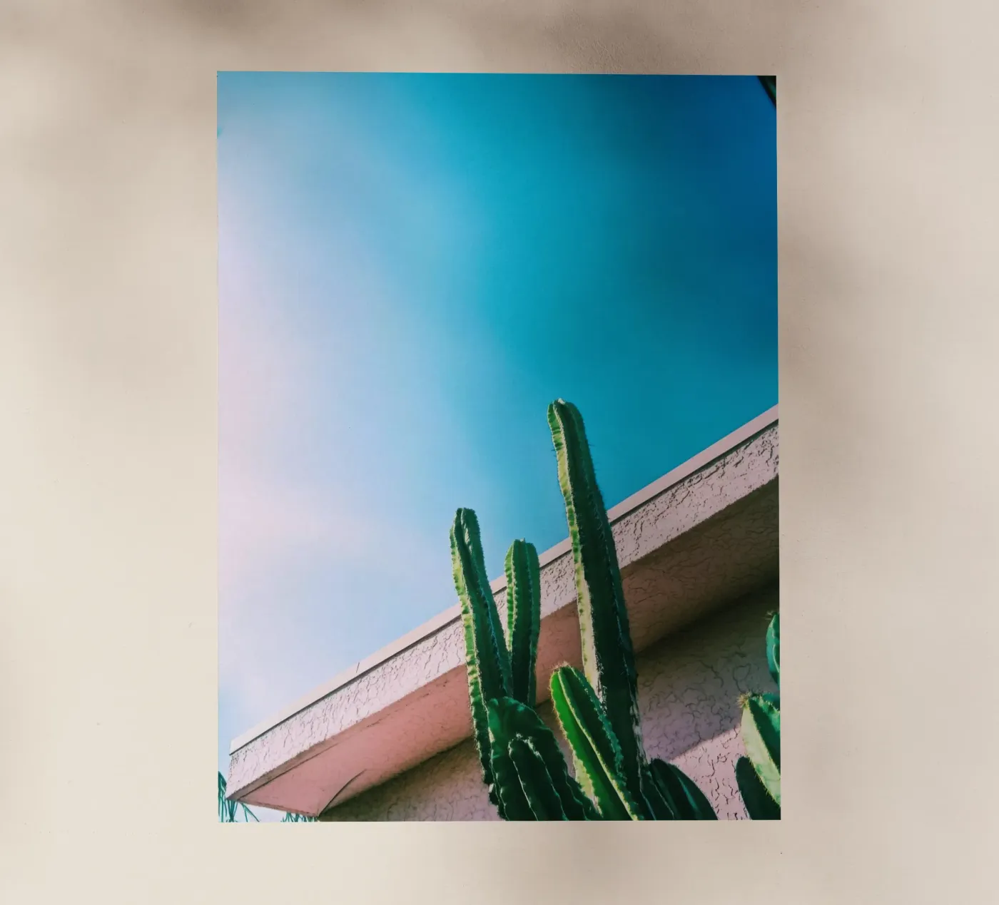 1 backlit folie van Pink California | Affiches & Posters