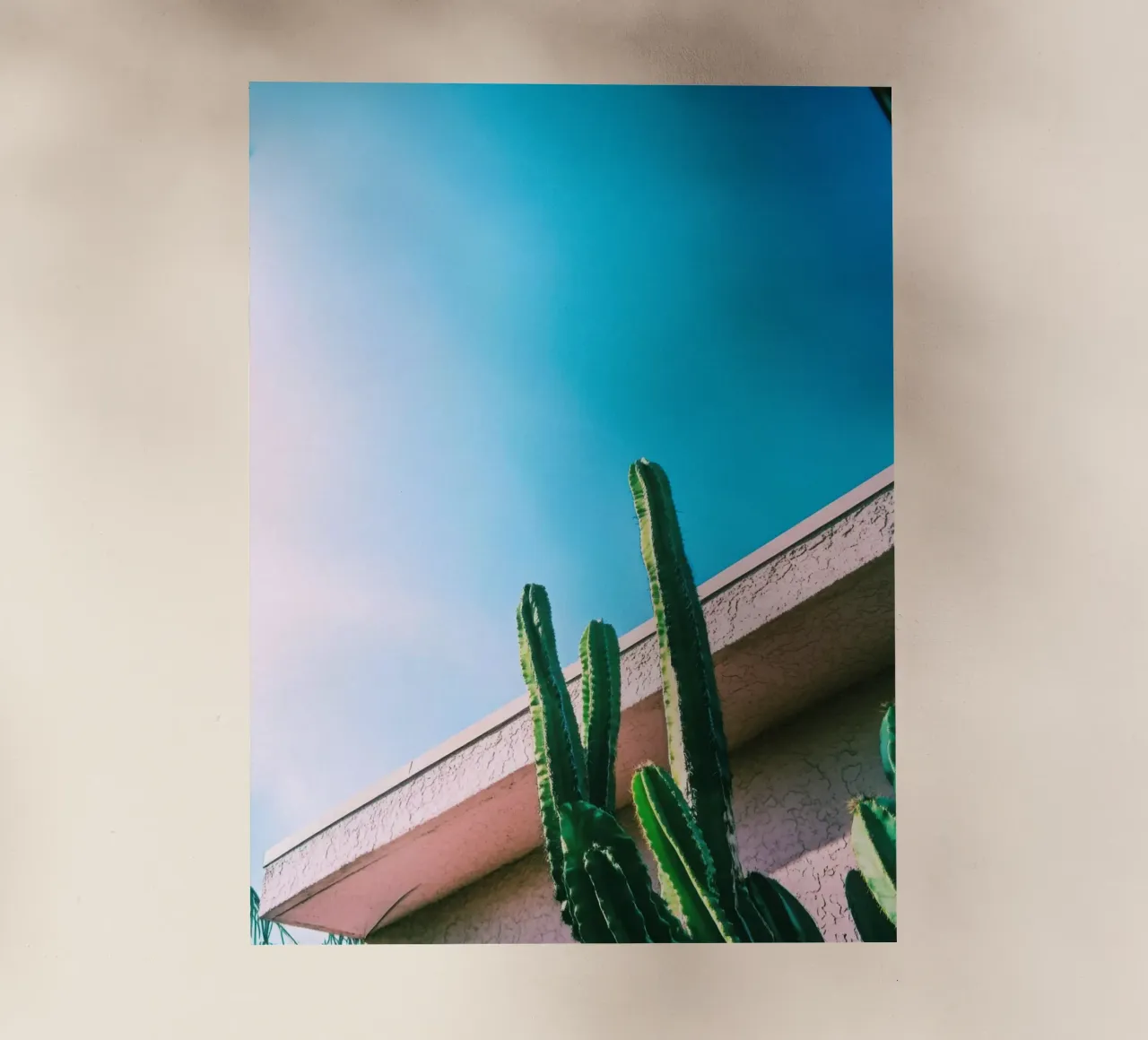 1 pellicola backlit da Pink California | Affiches & Posters