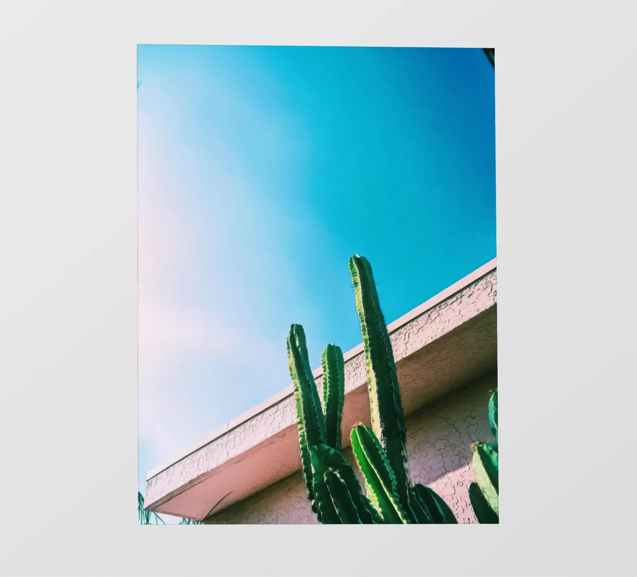 1 fotobehang van Pink California | Affiches & Posters